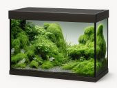 Eheim Vivaline 126L LED akvaarium bronze