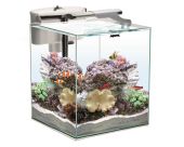 Aquael Nano Reef DUO 35 2.0 valge