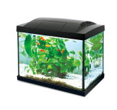 Hailea akvaarium K20, 20 l