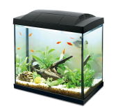 Hailea akvaarium K30, 30 l