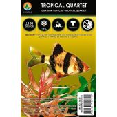 Külmutatud tropical quartet 100g blister