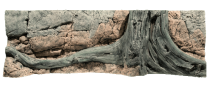 BackToNature Amazonas taust 150x50(h)cm