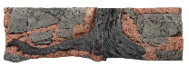 BackToNature Amazonas Flat taust 200x60(h)cm