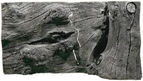 BackToNature Orinoco taust 80x42(h)cm