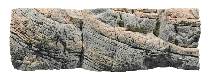 BackToNature Tanganyika taust 150x50(h)cm