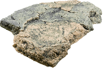 BackToNature Basalt Modul G 65x50x10(h)cm