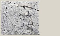 Slim-Line 60B 50x55 white limestone