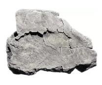 BackToNature Granit-Rock Modul F 65x50x10(h)cm