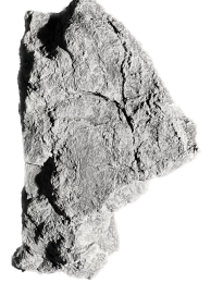 BackToNature Granit-Rock Modul L 50x45x11(h)cm