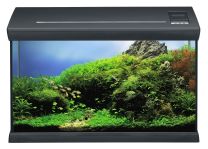 Eheim aquaglass 66 antratsiit