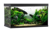 ELEMENT akvaarium 144L must