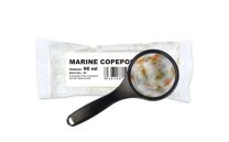 Copepods 90 ml - LIVE