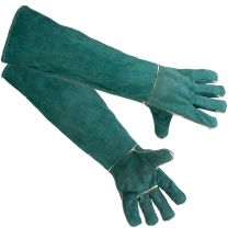 Terrario kinnas 60 cm