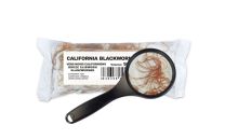 Blackworms (Lombriculus variegatus) 5x90 ml - ELUS