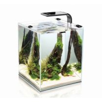 Aquael SHRIMP SET D&N 20 must