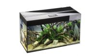 Aquael GLOSSY 100 must
