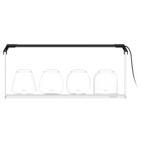 Bioloark Wabi-Kusa set / gift box LH-05