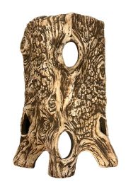 Half root 32 x 18 x 9 cm