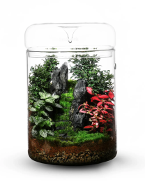 Bioloark Luji Glass Cup MY-120H