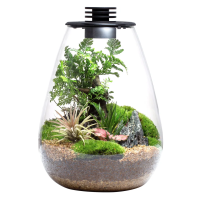 Bioloark Bio Bottle LED SD200