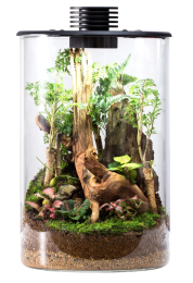 Bioloark Bio Bottle ZD200 