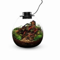 Bioloark Bio Bottle LED PD210