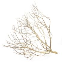 Hobby Desert Bush S 20-30cm