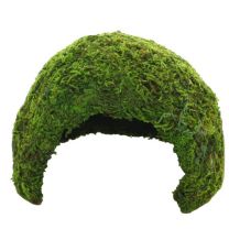 Hobby Jungle Cave 2
