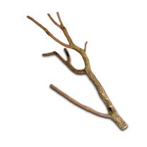 Hobby Cork Branch L 75-100cm