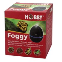 Hobby Foggy udumasin