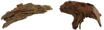 Hobby Mangroovi juurikas 15-25cm 