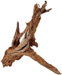 Hobby Mangrove root 70-90cm