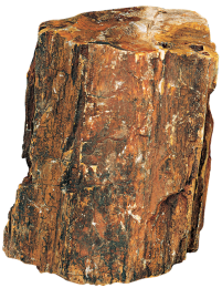 Hobby Wood rock M 1,0-2,2 kg / tk