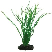Hobby Sagittaria 20cm