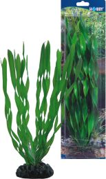 Hobby Vallisneria SB 20cm