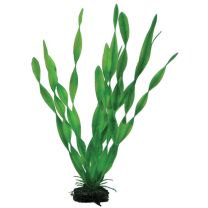 Hobby Vallisneria SB 34cm