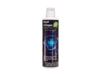 Royal Catappa 500ml