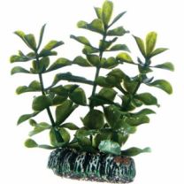 Hobby Bacopa 7cm