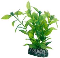Hobby Hygrophila 13cm