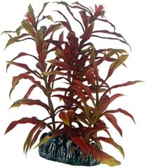 Hobby Nesaea 13cm