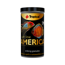 Tropical Soft Line America M 100ml / 60g