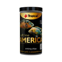 Tropical Soft Line America L 250ml / 130g
