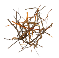 WIO Mix roots 140g, 10-40cm
