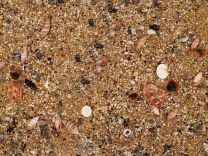 WIO Nautilus Tan 0,1-5cm, 2 kg