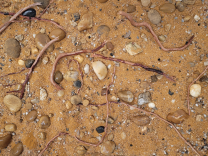 WIO Mere 0,1-20cm, 2 kg