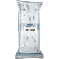 Rivershrimps 250ml (8-10 tk) - ELUS