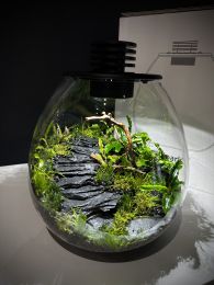 Wabi-Kusa komplekt 1
