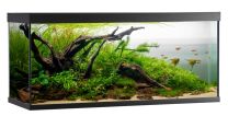 ELEMENT akvaarium 240L must