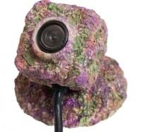 REEF-Cam Natureform Rock Case & Base