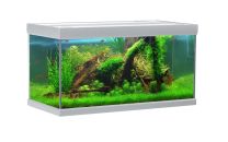 Fusion akvaarium 250L